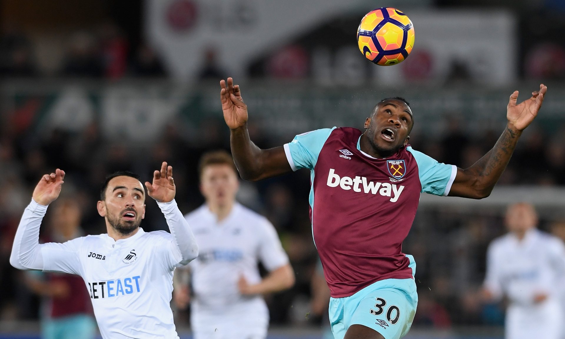 在諾維茨基 在諾維茨基